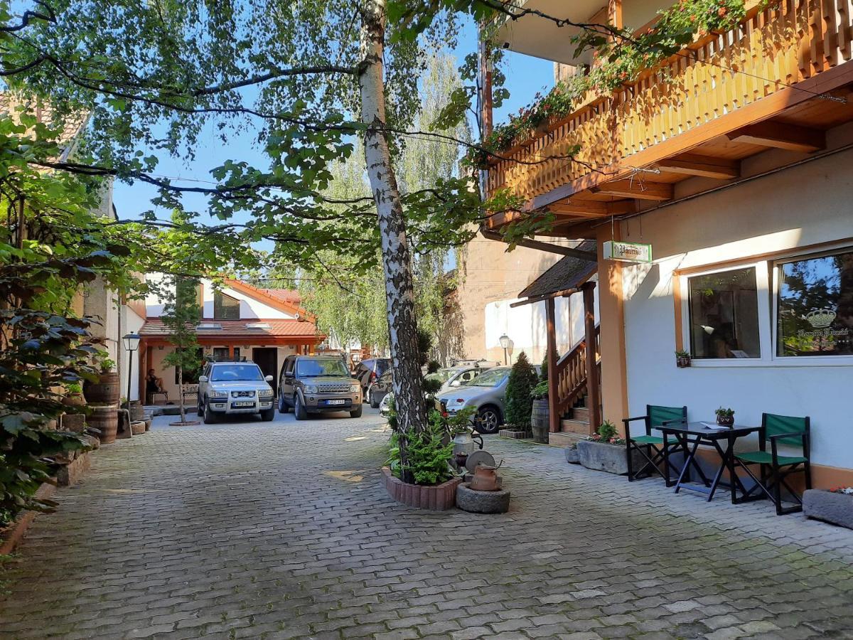 오도르헤이우세쿠이에스크 Korona Panzio B&B 외부 사진